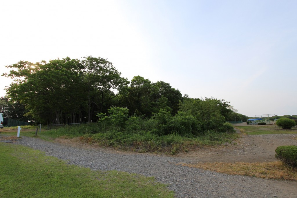 クロコムラサキ保護樹林です。