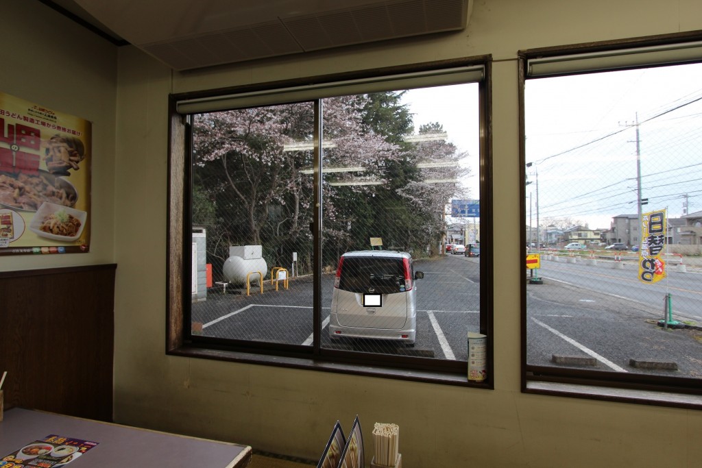 座敷席からお花見が出来ます。