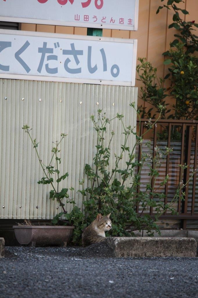 駐車場にて。