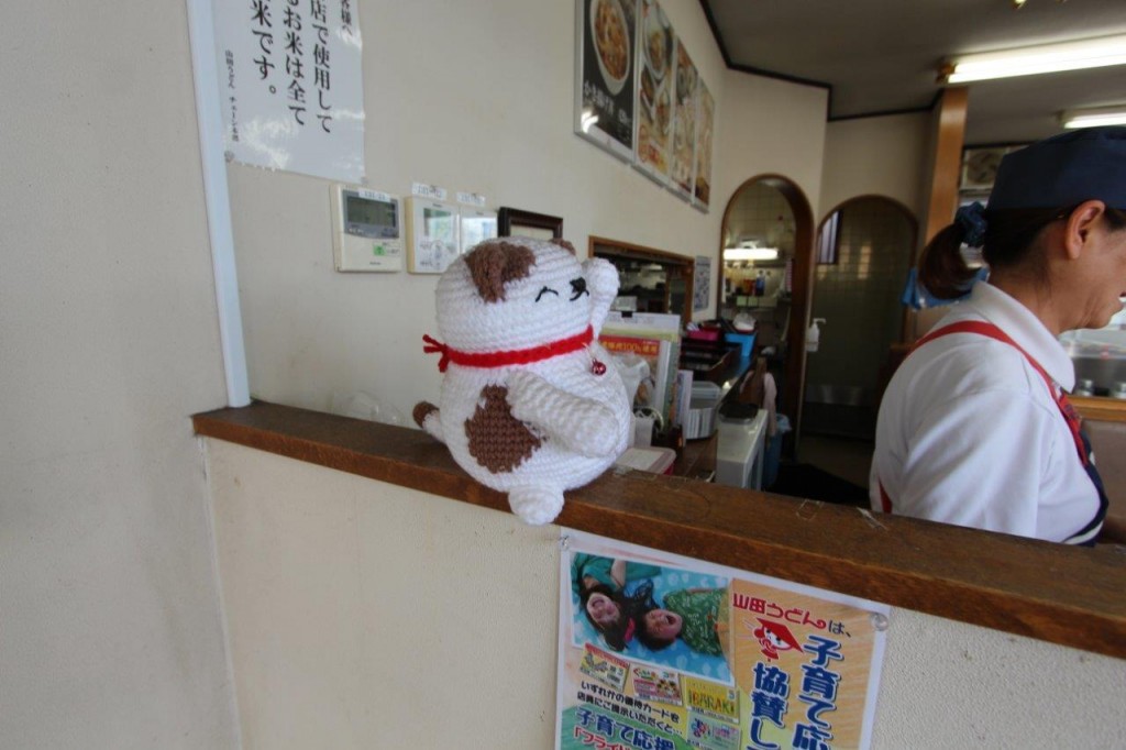 店内に入ると猫ちゃんがいます。